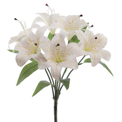 RAMO LILIUM X7
