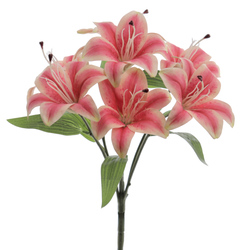 RAMO LILIUM X7 FUXIA