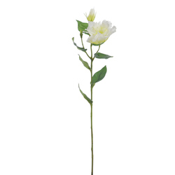 VARA DE LISIANTHUS CREMA