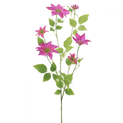 VARA DE CLEMATIS 1,15 CM