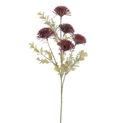 VARA DE ECHINOPS BURDEOS