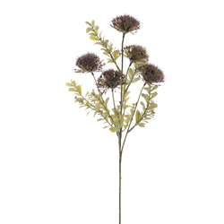 VARA DE ECHINOPS MALVA