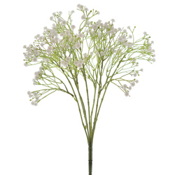 RAMO PANICULATA REAL/TOUCH