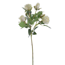 VARA DE ROSAS X5 CREMA