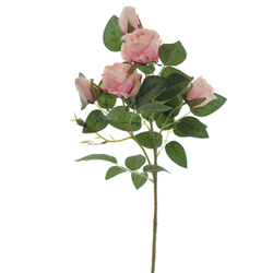 VARA DE ROSAS X5 ROSA