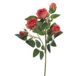 VARA DE ROSAS X5 SALM?N