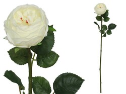 ROSA CABAGE REAL TOUCH 68 CM BLANCO