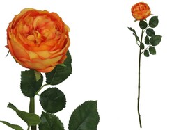 ROSA CABAGE REAL TOUCH 68 CM NARANJA