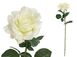 ROSA JARDIN 72 CM