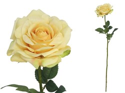 ROSA JARDIN 72 CM AMARILLO
