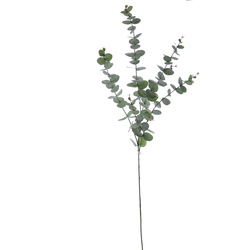 VARA DE EUCALIPTUS X5 120 CM