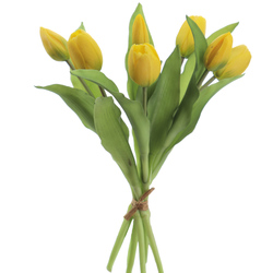 ATADO DE TULIPANES X7 TAC/NAT AMARILLO