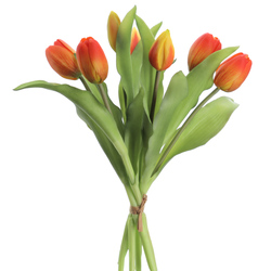 ATADO DE TULIPANES X7 TAC/NAT NARANJA