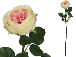 ROSA CABAGE REAL TOUCH 68 CM SALM?N