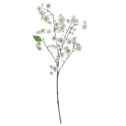 VARA DE CEREZO CREMA