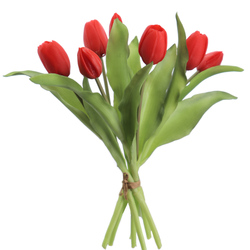 ATADO DE TULIPANES X7 TAC/NAT ROJO