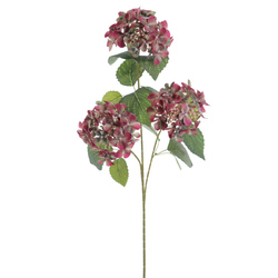 VARA DE HORTENSIA X3 FUXIA