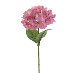 VARA DE HORTENSIA