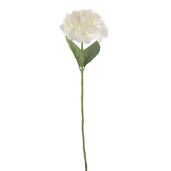VARA DE HORTENSIA CREMA