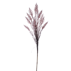 VARA DE CELOSIA BURDEOS