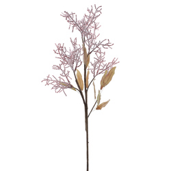 VARA DE LIMONIUM