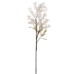 VARA DE LIMONIUM CREMA