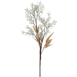 VARA DE LIMONIUM VERDE