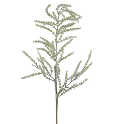 VARA TAMARIX