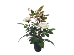 MACETA ROSAL 35 CM BLANCO