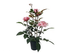 MACETA ROSAL 35 CM ROSA