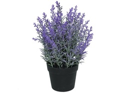 MACETA LAVANDA 26 CM