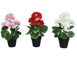 SURT GERANEOS C/M 3 BL  3 RS  6 RJ 37CM