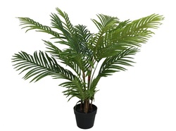 PLANTA PHOENIX CON MACETA 80 CM
