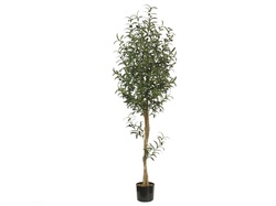 ARBOL DE OLIVO CON MACETA 180 CM
