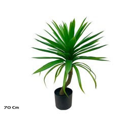 PLANTA DE YUCCA 70 CM