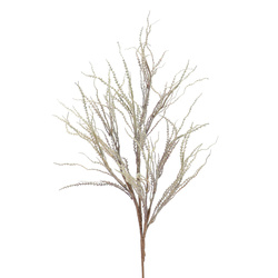 VARA DE RUBRUM VERDE