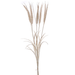 VARA DE TRICTICUM CREMA