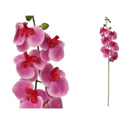 VARA PHALENOPSIS 85 CM VIOLETA