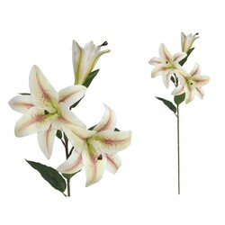 LILIUM TAC/NAT 80 CM SALMON