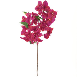 VARA DE BOUGANVILLEA 72 CM