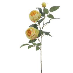 ROSA INGLESA X3 AMARILLO