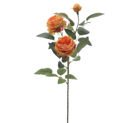 ROSA INGLESA X3 NARANJA