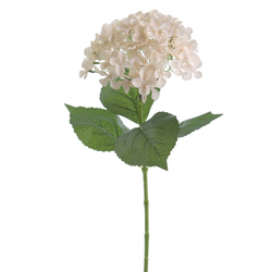 HORTENSIA 70 CM BEIGE