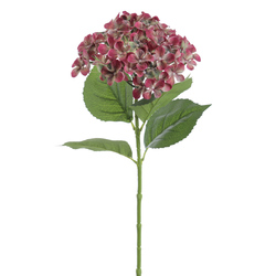 HORTENSIA 70 CM FUXIA