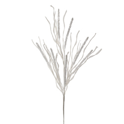 VARA DE RETAMA BLANCO