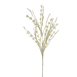 VARA DE RETAMA VERDE