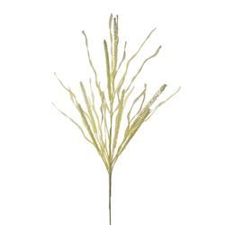 VARA DE VERONICA AMARILLO