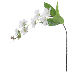 VARA DE CLERODENDRUM 80 CM CREMA