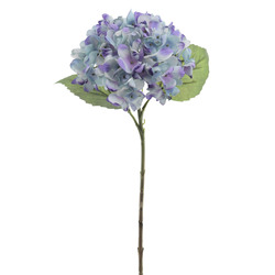 VARA DE HORTENVIA DRY 50 CM