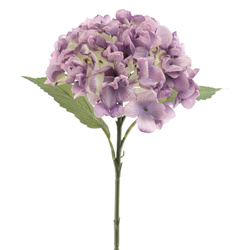 VARA DE HORTENVIA DRY 50 CM P?RPURA